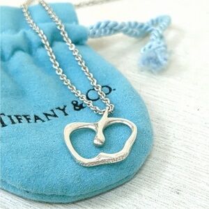 Tiffany & Co. Auth Apple 🍎 925 Sterling Silver Necklace w/Pouch ✨EUC✨